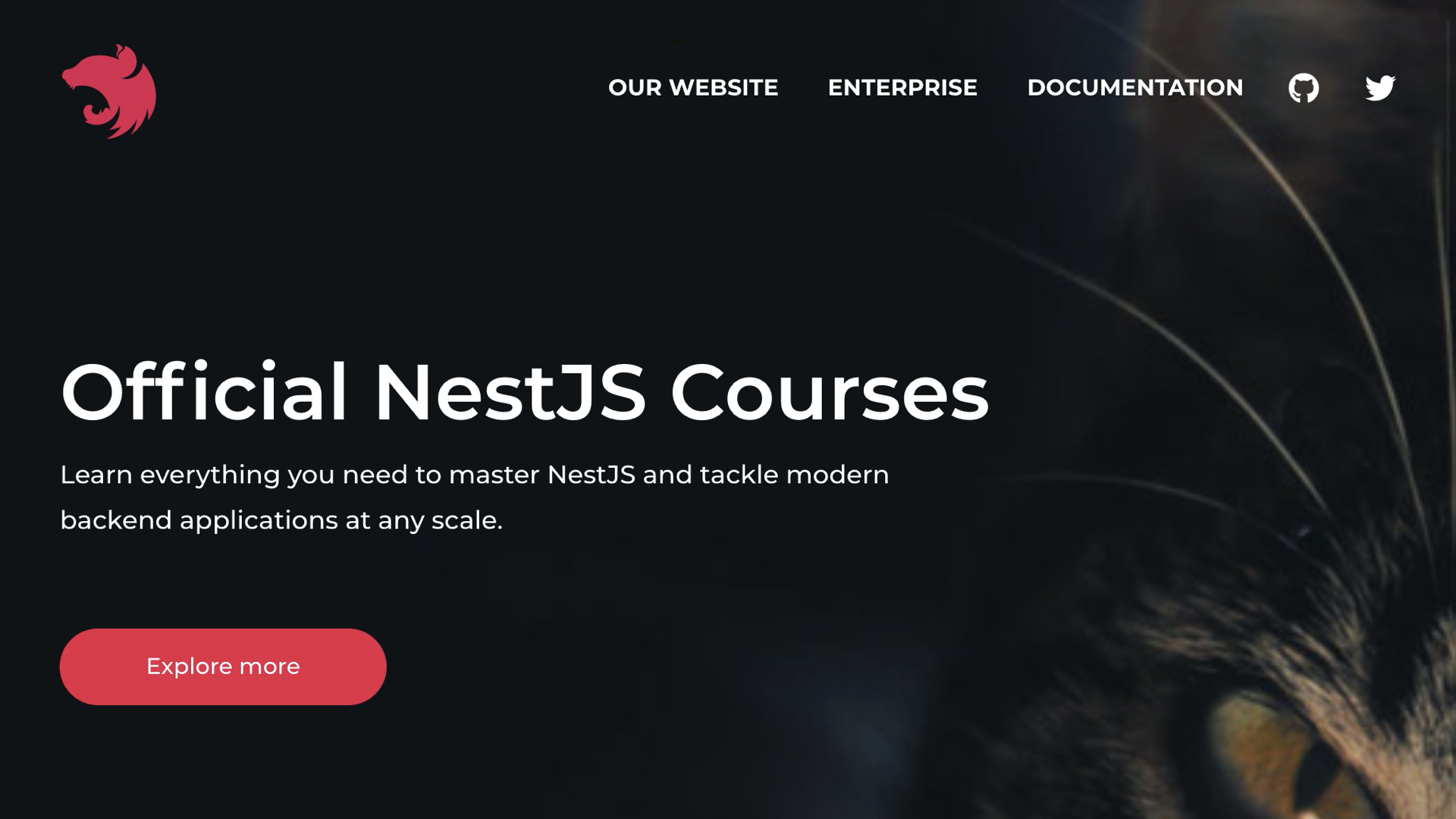 NestJS 官方課程：NestJS Fundamentals